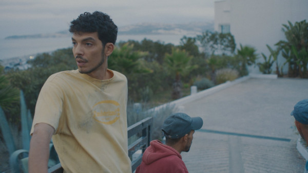 Derrière les palmiers