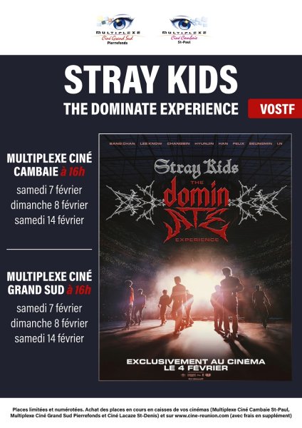 Stray Kids: The dominATE Experience